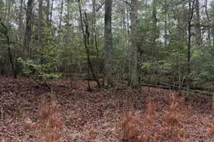 Lot 39 40 & 41 S Lakeview Dr, Point Blank, TX 77364 - Photo 27