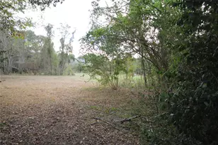 2475 Fm 359 Rd, Brookshire, TX 77423 - Photo 7