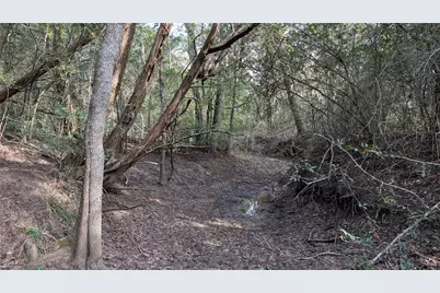 900 County Road 126, Hallettsville, TX 77964 - Photo 5