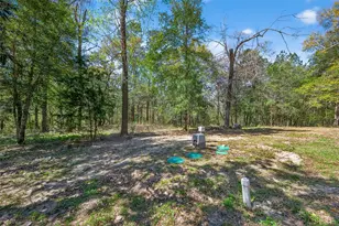 154 Lakeview Dr E, Livingston, TX 77351 - Photo 31