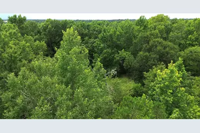 Tract 1 County Road 2065, Crockett, TX 75835 - Photo 13