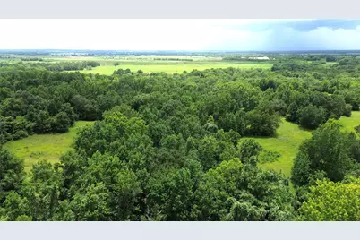 Tract 1 County Road 2065, Crockett, TX 75835 - Photo 5