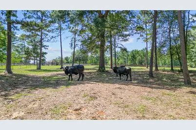 9698 Pioneer Trace, Conroe, TX 77303 - Photo 45