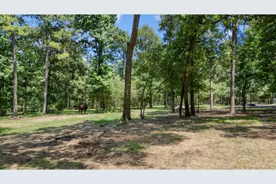 9698 Pioneer Trace, Conroe, TX 77303 - Photo 37