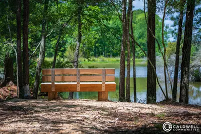 14019 Hawk Vista Court, Willis, TX 77318 - Photo 3