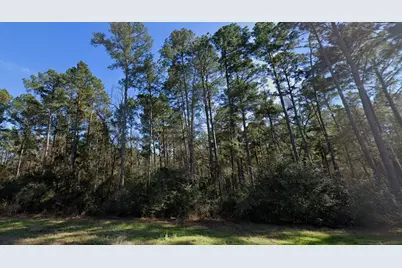 5-25-19 Feldspar Lane, Huntsville, TX 77340 - Photo 3