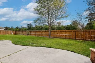 46 S April Mist Cir, Conroe, TX 77385 - Photo 27