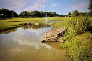 23230 Dewflower Dr, Katy, TX 77494 - Photo 31