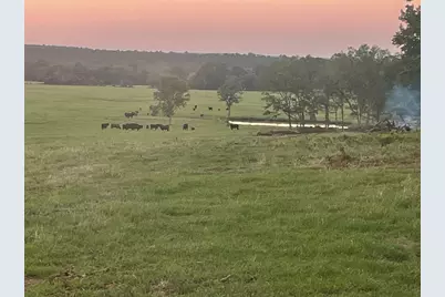 1 Highway 7 West, Crockett, TX 75835 - Photo 5