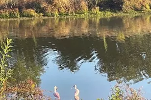 1525 Ramada Dr, Houston, TX 77062 - Photo 25