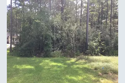 10825 Zulu Court, Willis, TX 77378 - Photo 5