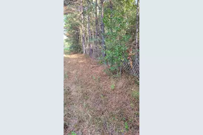 000 Hindo Drive, Conroe, TX 77303 - Photo 5