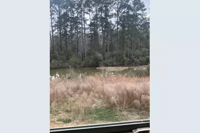 10669 N Lake Road, Montgomery, TX 77316 - Photo 3