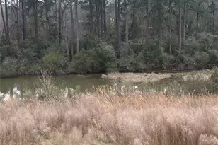 10669 N Lake Rd, Montgomery, TX 77316 - Photo 3