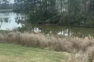 10669 N Lake Rd, Montgomery, TX 77316 - Photo 25