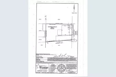 4123 Yale Street, Houston, TX 77018 - Photo 7