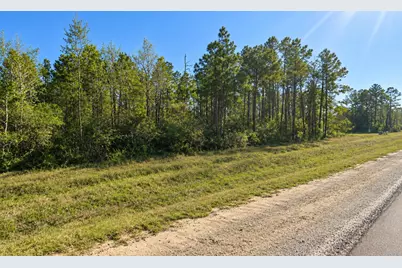 11631 Grand North Road, Willis, TX 77358 - Photo 3