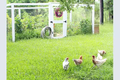 26718 Stagecoach Crossing Drive, Magnolia, TX 77355 - Photo 27