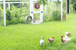 26718 Stagecoach Crossing Dr, Magnolia, TX 77355 - Photo 27