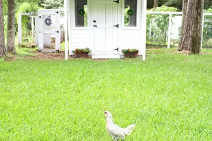 26718 Stagecoach Crossing Dr, Magnolia, TX 77355 - Photo 25