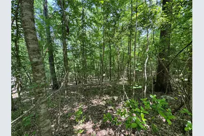 162 Moon River Trail, Goodrich, TX 77335 - Photo 17