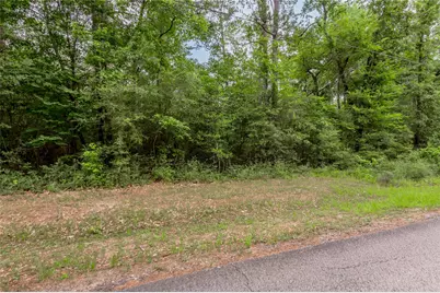 Lot 08 Oak Drive, Trinity, TX 75862 - Photo 5