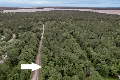 Lot 08 Oak Drive, Trinity, TX 75862 - Photo 3