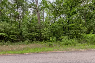 Lot 08 Oak Drive, Trinity, TX 75862 - Photo 7
