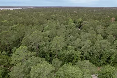 Lot 08 Oak Drive, Trinity, TX 75862 - Photo 13