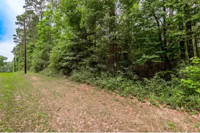 Lot 08 Oak Drive, Trinity, TX 75862 - Photo 11