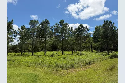 ***** Tranquil Trace St, Algoa, TX 77511 - Photo 1