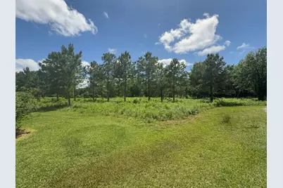 ***** Tranquil Trace St, Algoa, TX 77511 - Photo 3