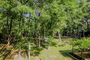 9614 Miller Rd, Magnolia, TX 77354 - Photo 13