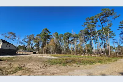 818 Scribe Street, New Caney, TX 77357 - Photo 5