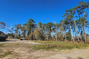 818 Scribe St, New Caney, TX 77357 - Photo 5