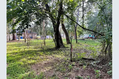 19397 Loafers Lane, Magnolia, TX 77355 - Photo 5