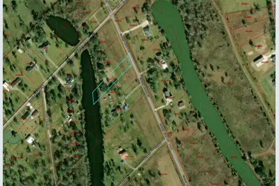 20318 County Road 461, Brazoria, TX 77422 - Photo 5