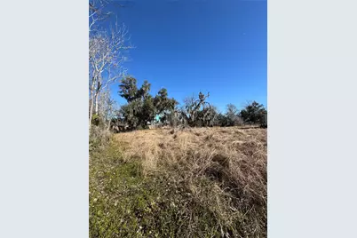 20318 County Road 461, Brazoria, TX 77422 - Photo 9