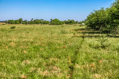 00000 Flat Prairie Road, Washington, TX 77880 - Photo 17