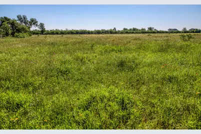 00000 Flat Prairie Road, Washington, TX 77880 - Photo 9