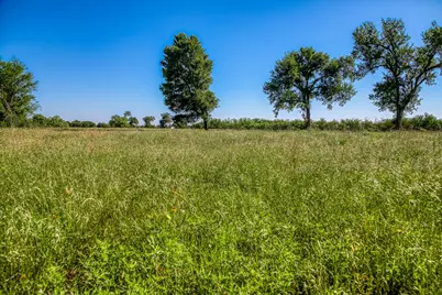00000 Flat Prairie Road, Washington, TX 77880 - Photo 5
