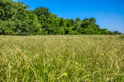 00000 Flat Prairie Road, Washington, TX 77880 - Photo 19
