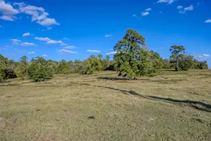 125 Acres Spring Branch Rd, Montgomery, TX 77316 - Photo 15