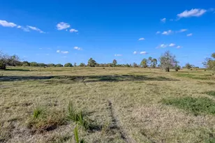 125 Acres Spring Branch Rd, Montgomery, TX 77316 - Photo 5