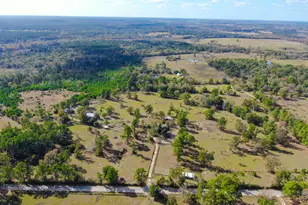 125 Acres Spring Branch Rd, Montgomery, TX 77316 - Photo 27