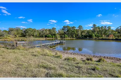 125 Acres Spring Branch Road, Montgomery, TX 77316 - Photo 9