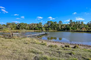 125 Acres Spring Branch Rd, Montgomery, TX 77316 - Photo 9
