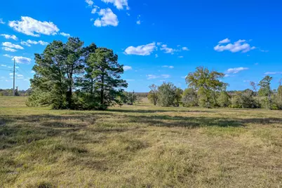 125 Acres Spring Branch Road, Montgomery, TX 77316 - Photo 13