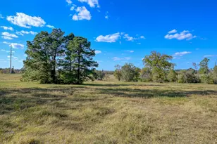 125 Acres Spring Branch Rd, Montgomery, TX 77316 - Photo 13