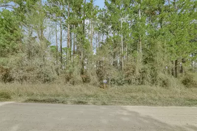 Lot 720 Sand Dollar Drive, Livingston, TX 77351 - Photo 13